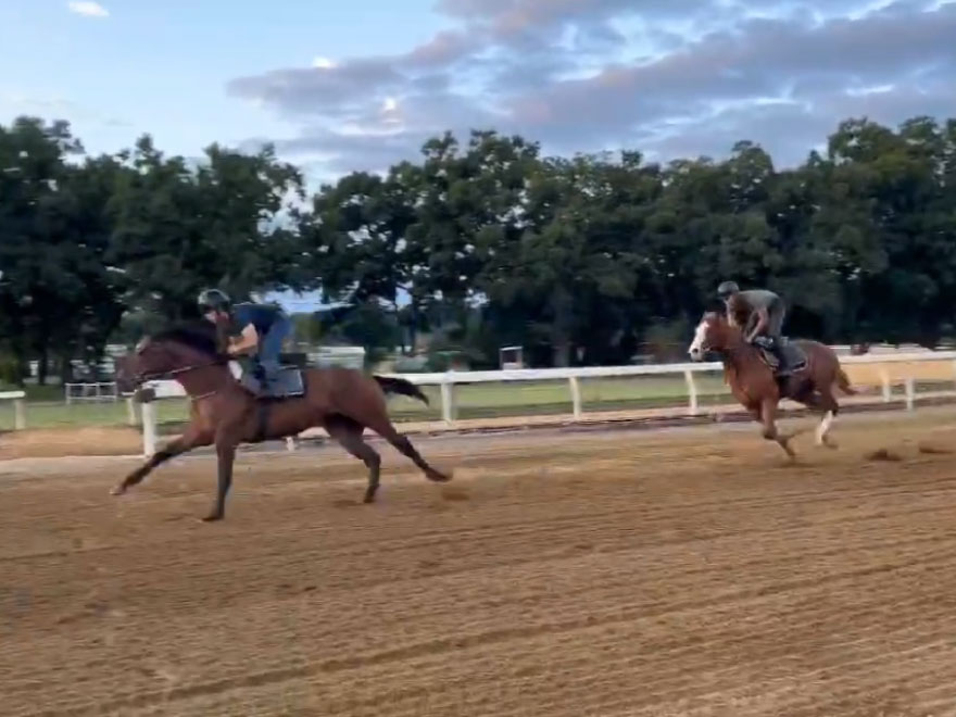 茨城の雄大な自然に囲まれた、開放的な馬場フィールド