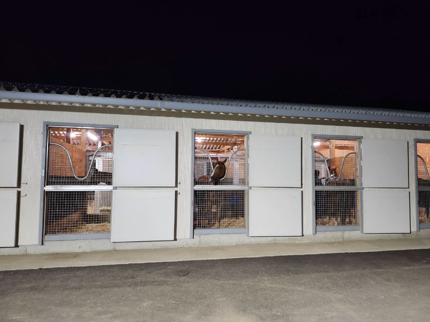 充実した設備で馬もスタッフも安心です